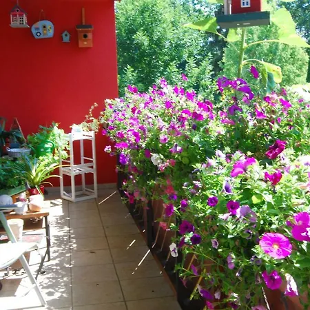 Ferienwohnung Anton *